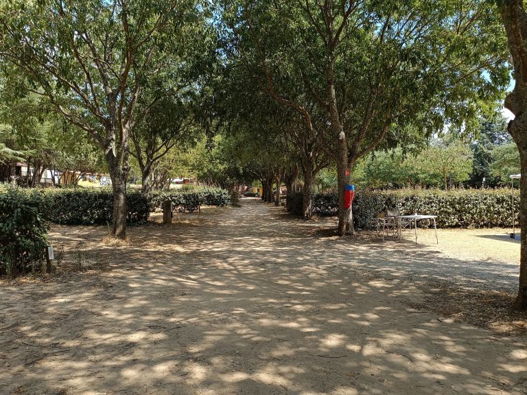 allee dans la plaine 768x576