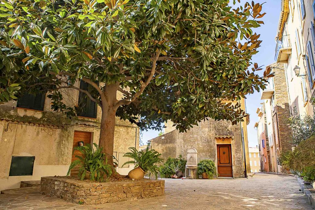 bormes 2014 002 1024x683