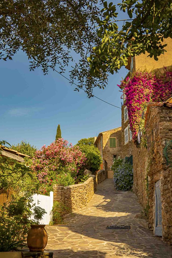 bormes 2020 012 683x1024