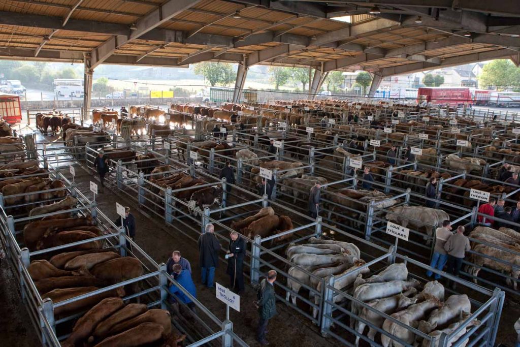 camping aveyron 2010 022 1024x683