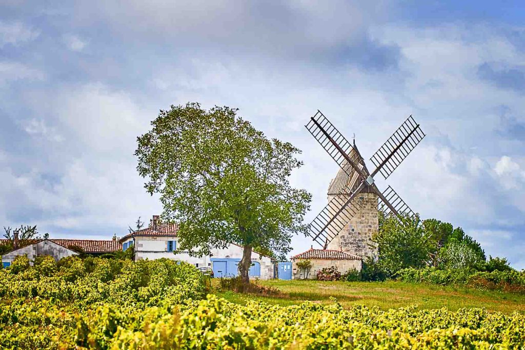 camping beaujolais 2015 003 1024x683