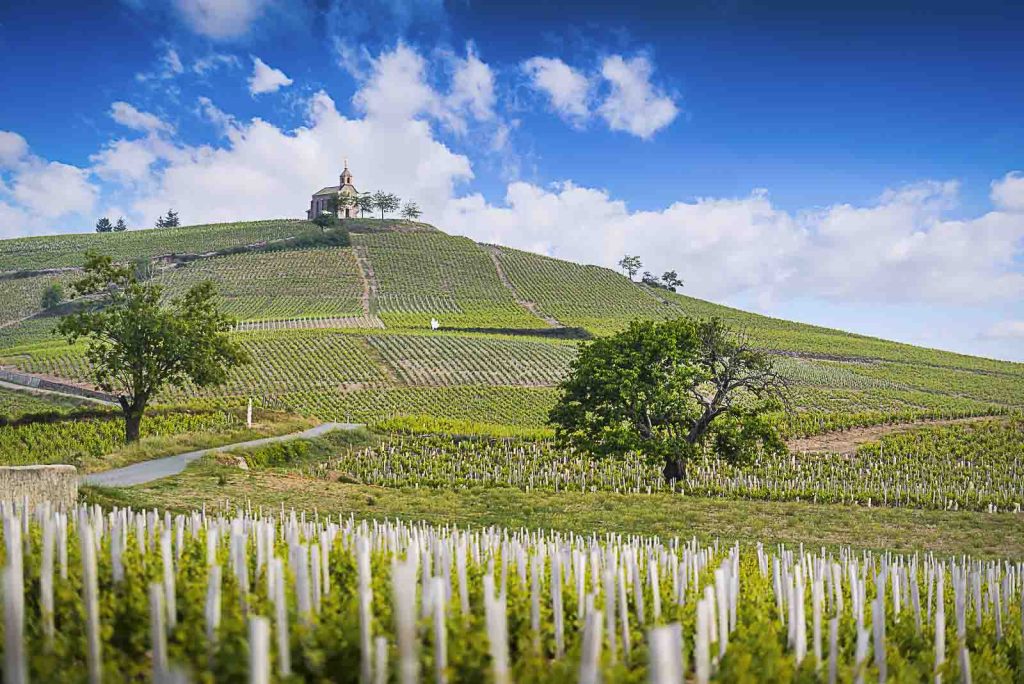 camping beaujolais 2018 007 1024x684