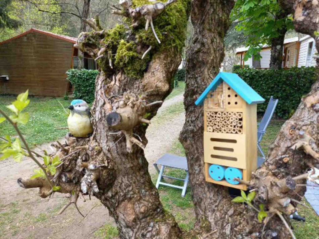 camping cevennes gard 2025 0008 1024x768