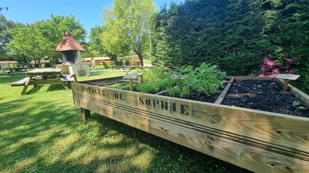 Barbecues + potager à dispo (pour assaisonner vos plats) Barbecues + potager à dispo (pour assaisonner vos plats)