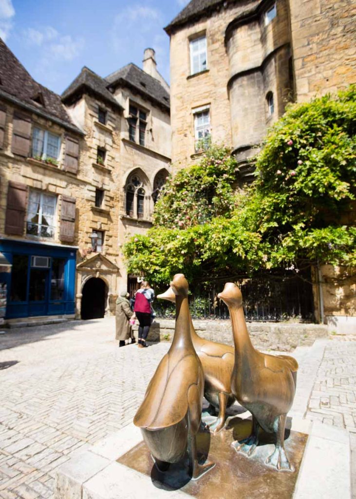 camping dordogne 2017 011 731x1024