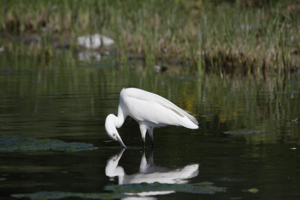 camping hauts france 2010 001 1 1024x683