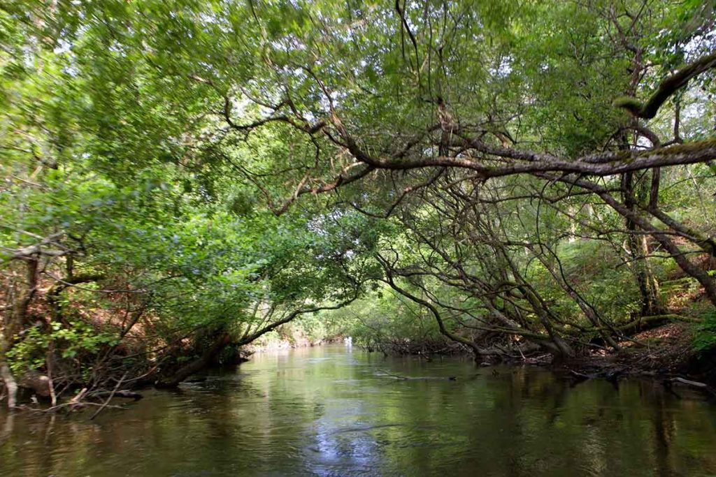 camping landes hichet 1024x683