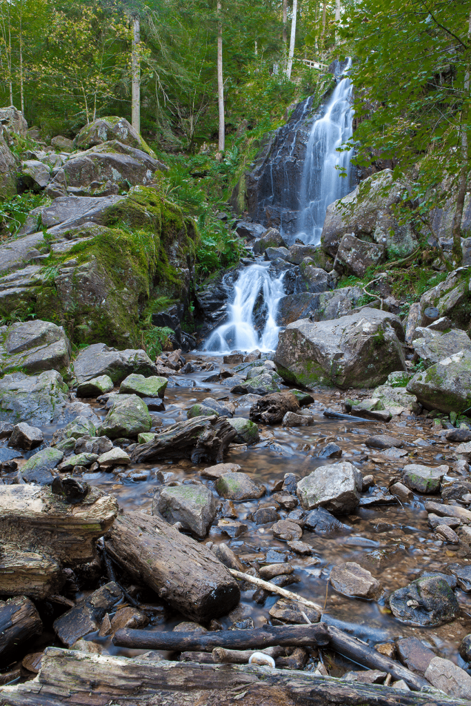 cascade tendon2 683x1024