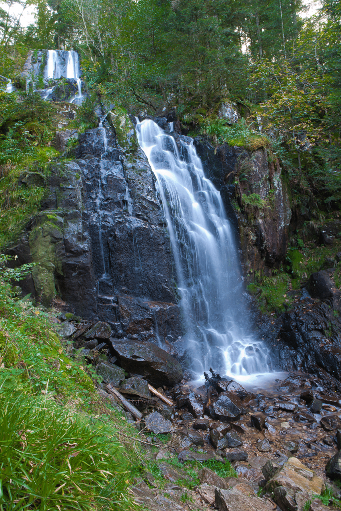 cascade tendon4 683x1024