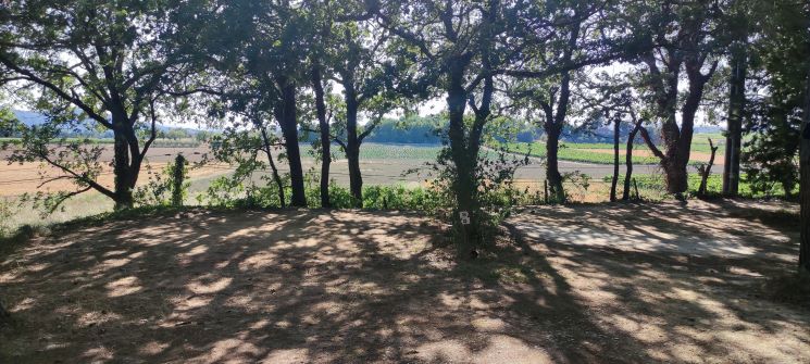 emplacements en terrasse