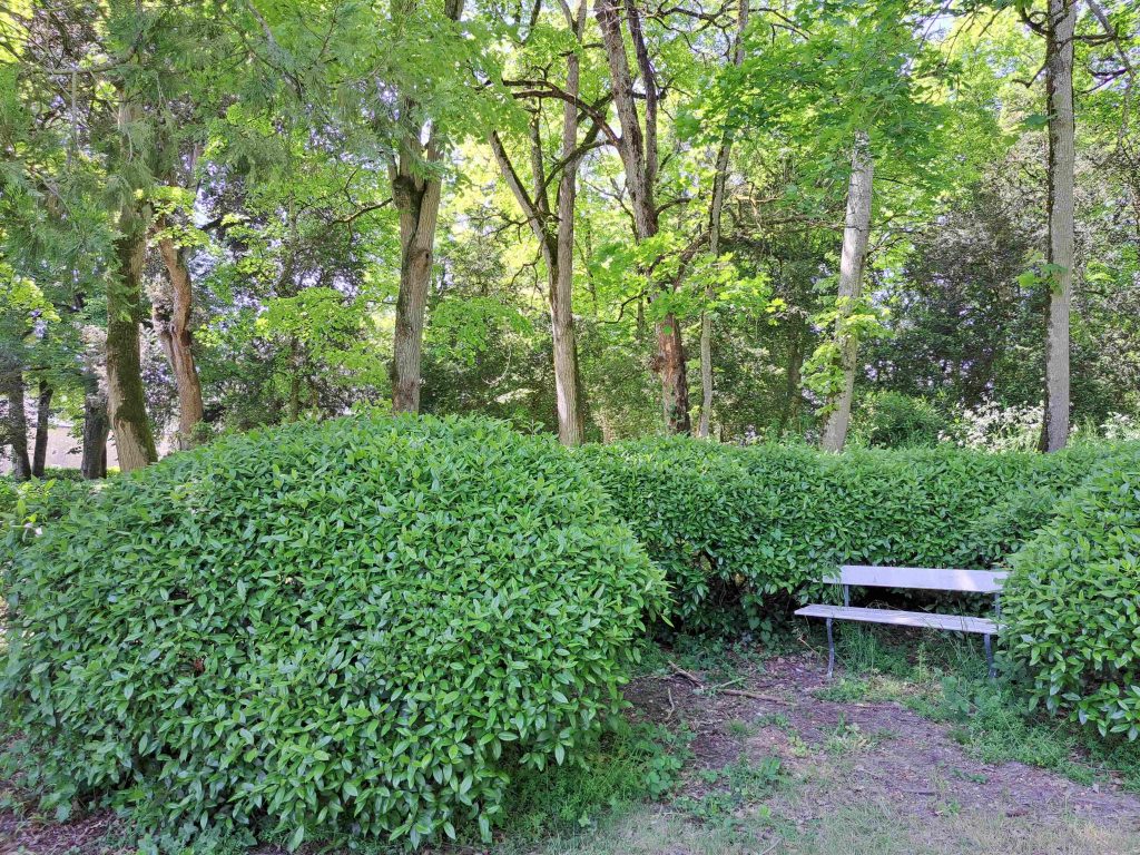 pause lecture la rolandiere 1.9 1024x768