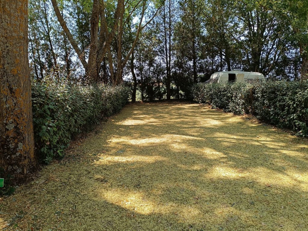 place ombragee 1024x768