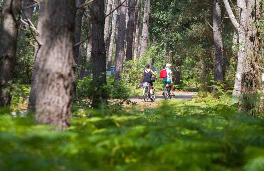 camping parntis 2015 0001 1024x665