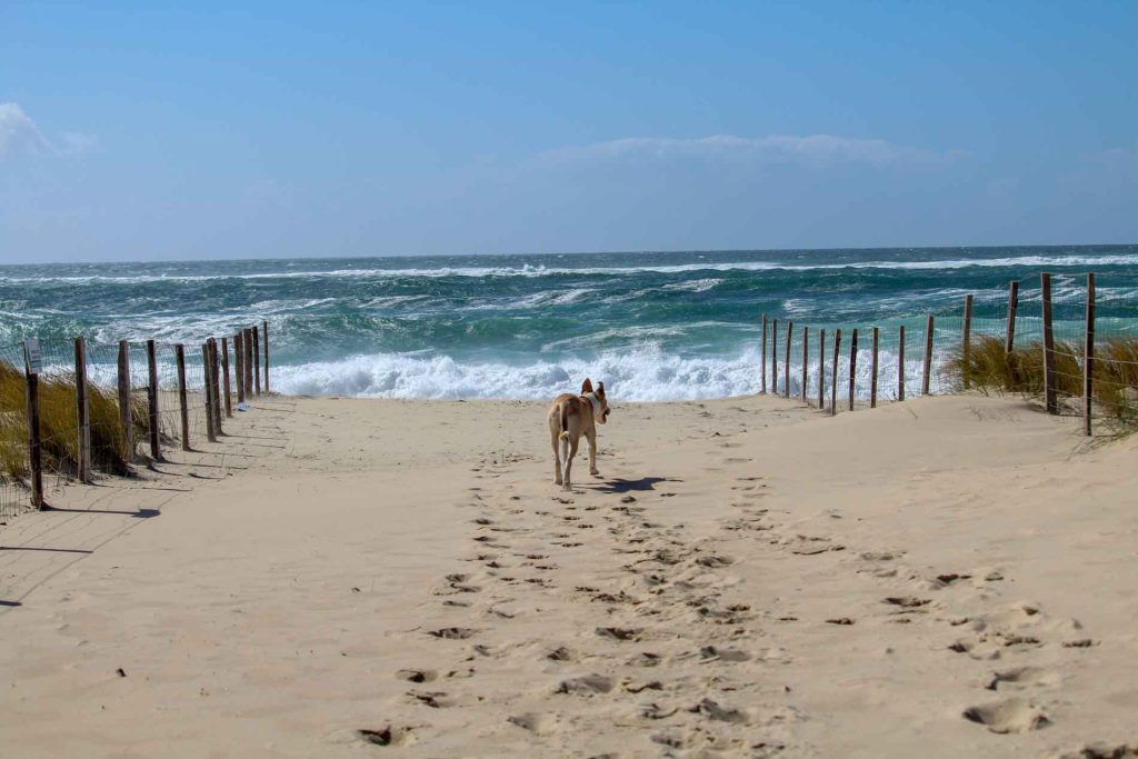 camping parntis 2019 0005 1024x683