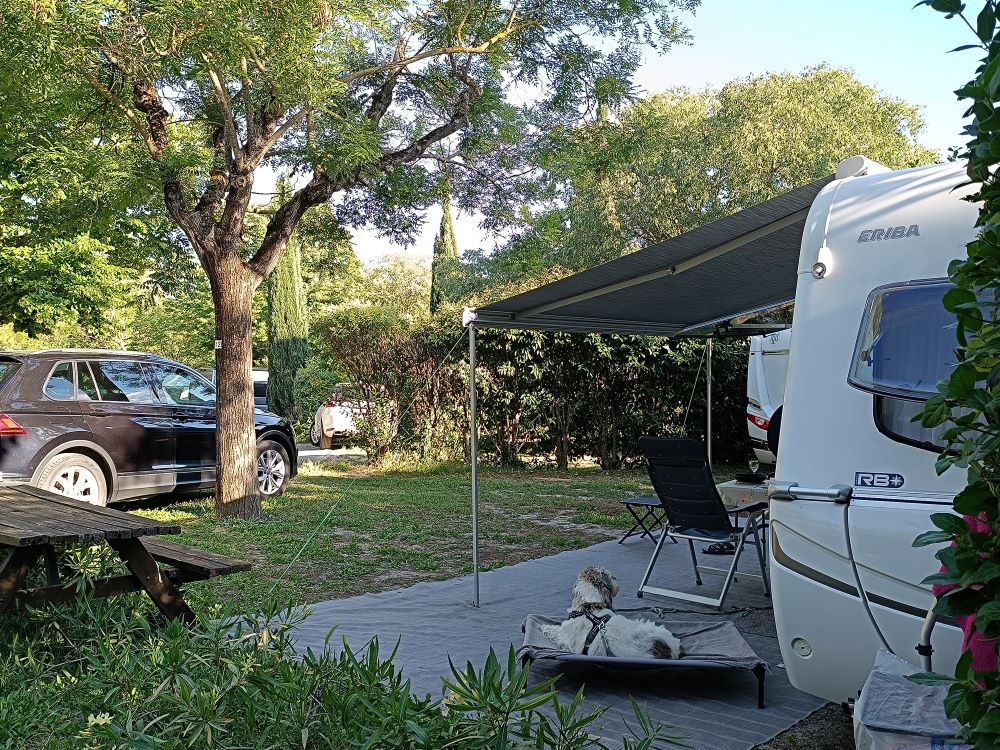 PHOTO 2024 07 26 15 03 27 2