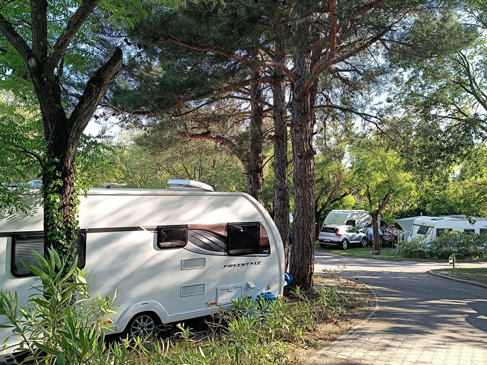 PHOTO 2024 07 26 15 03 27