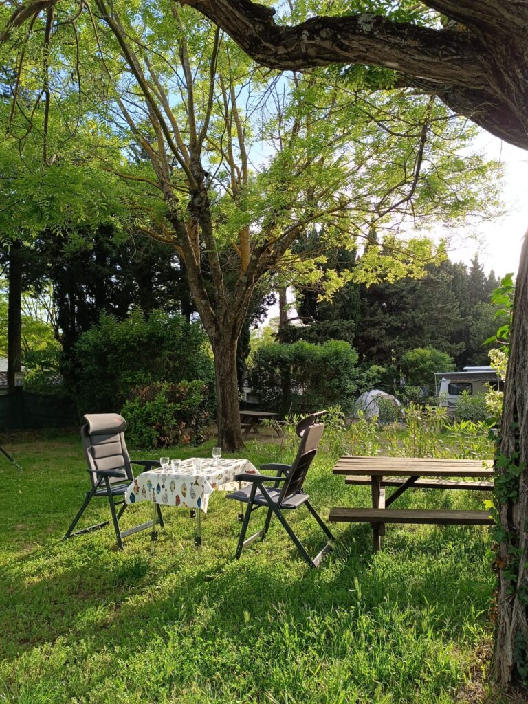 PHOTO 2024 07 27 09 49 09 2 768x1024