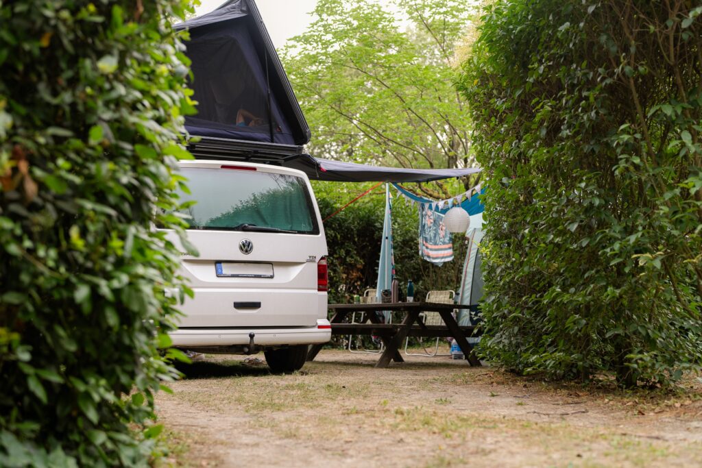 SUNELIA MAS DE NICOLAS 2024 3 1024x683