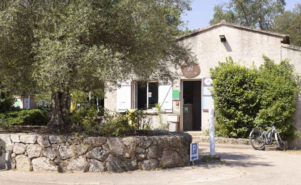 camping corse accueil 1024x631