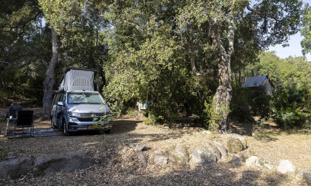 camping corse emplacement 1024x613
